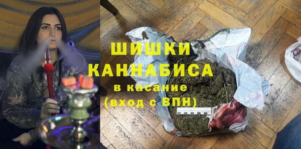 мдпв Краснослободск