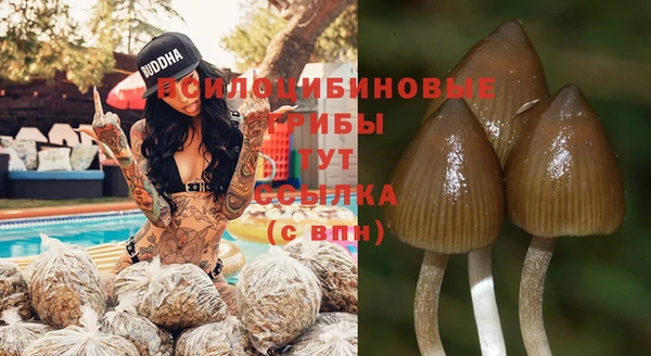 прущие крисы Красноперекопск