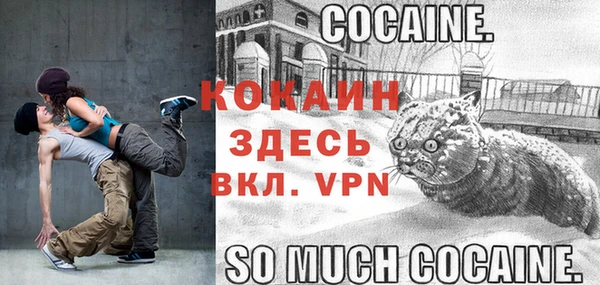 мдпв Краснослободск