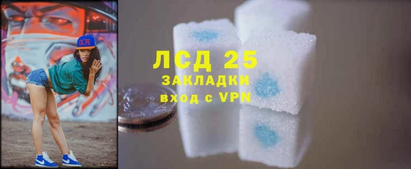 мдпв Краснослободск