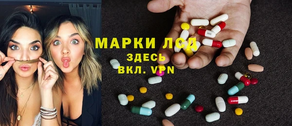 мдпв Краснослободск