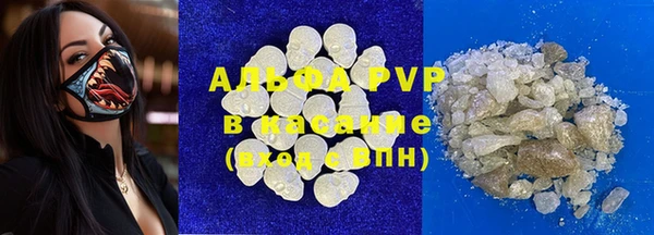 мдпв Краснослободск