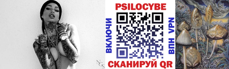 Купить где  Балабаново  Галлюциногенные грибы Cubensis 